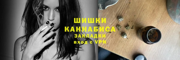 амф Верея