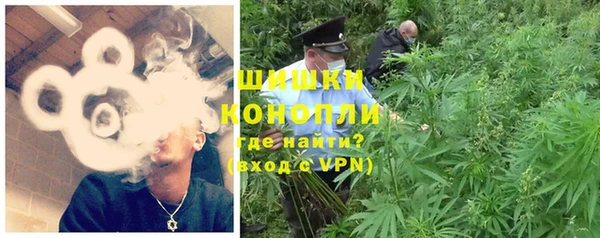амф Верея