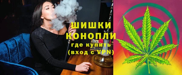 амф Верея