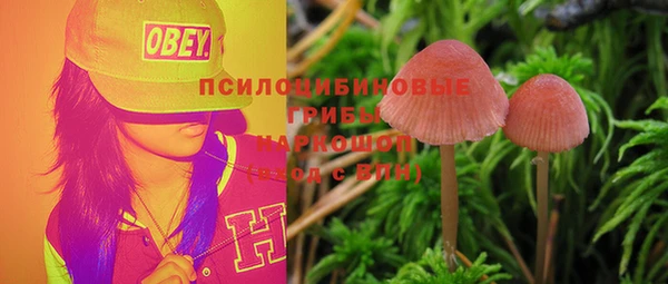 амф Верея